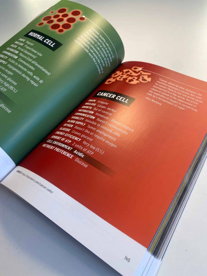How To Cure Cancer and Other Diseases (printed copy) – Bild 11