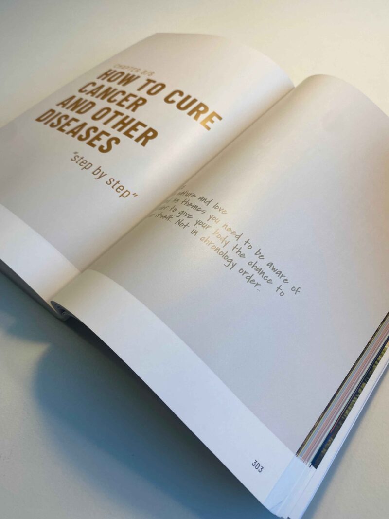 How To Cure Cancer and Other Diseases (printed copy) – Bild 19